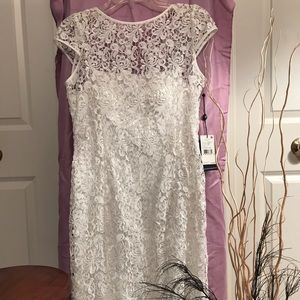 Adrianna Papell Lace Dress with cap sleeves.